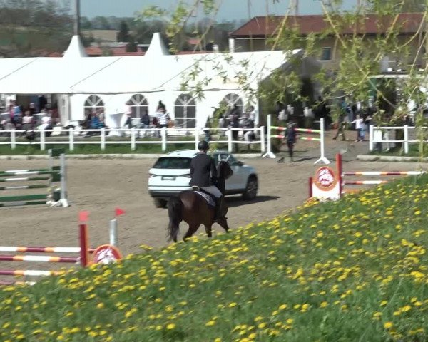 Reitturnier Ried am Riederberg 2022