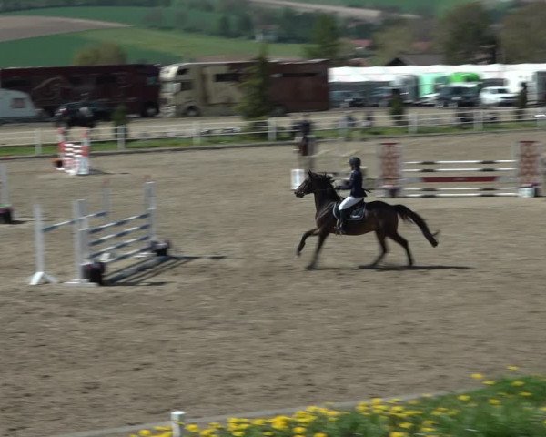 Reitturnier Ried am Riederberg 2022