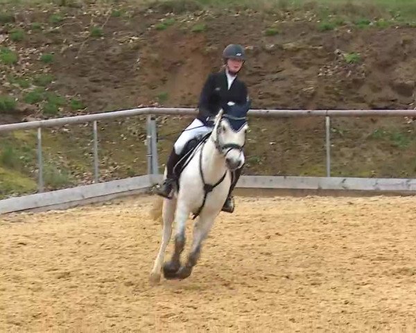 Reitturnier Altentrüdingen/Mfr. 2022