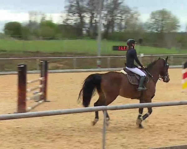Reitturnier Altentrüdingen/Mfr. 2022