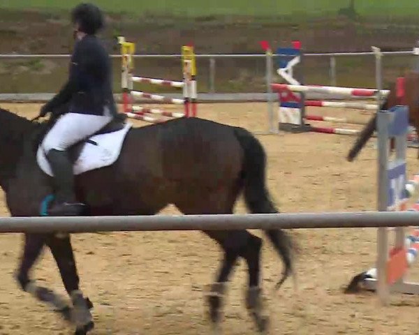 Reitturnier Altentrüdingen/Mfr. 2022