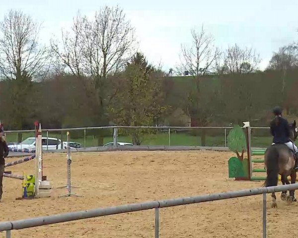 Reitturnier Altentrüdingen/Mfr. 2022