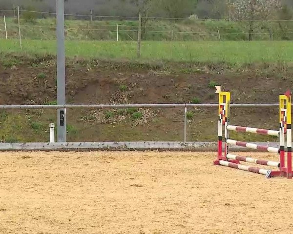 Reitturnier Altentrüdingen/Mfr. 2022