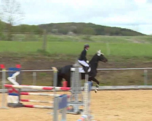 Reitturnier Altentrüdingen/Mfr. 2022