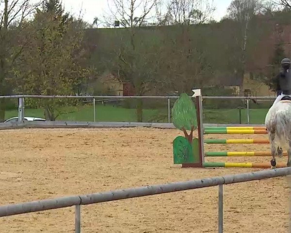 Reitturnier Altentrüdingen/Mfr. 2022