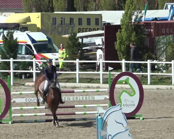 Reitturnier Ried am Riederberg 2022