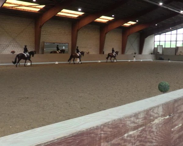 Reitturnier Kamen 2022