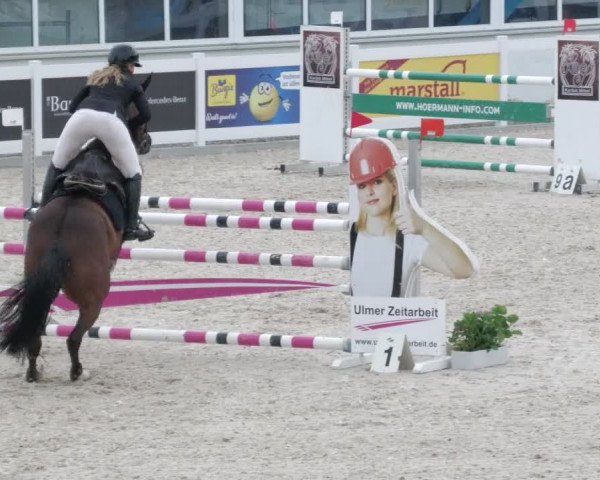 Springturnier Memmingen 2022