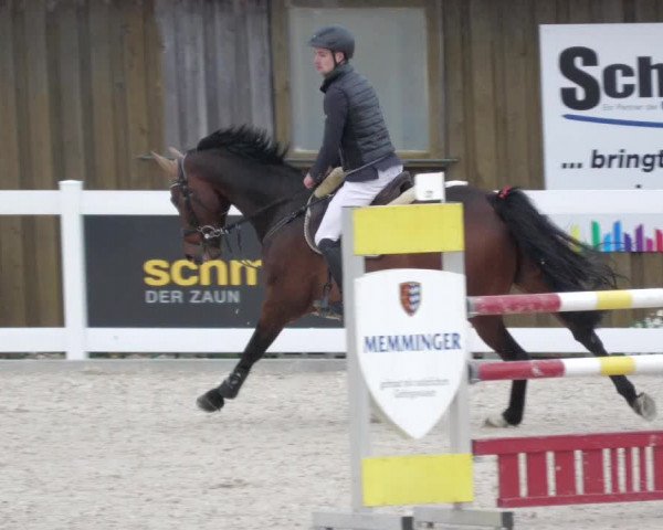 Springturnier Memmingen 2022
