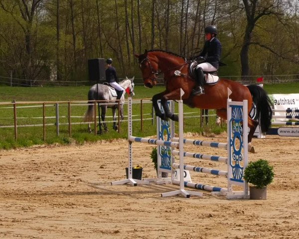 Reitturnier Wutzetz 2022