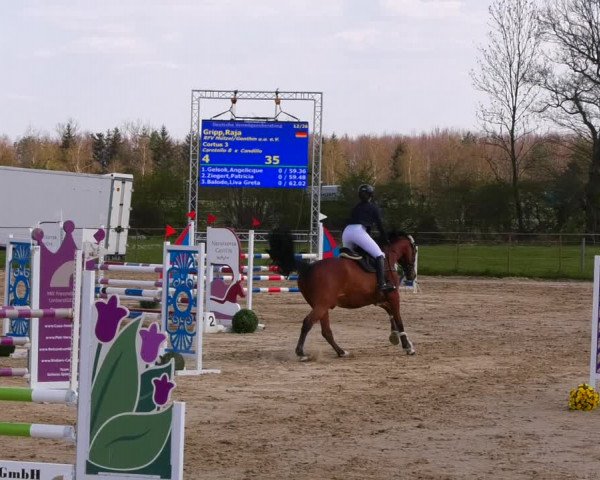 Reitturnier Wutzetz 2022