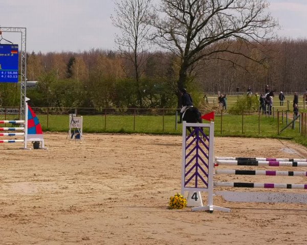 Reitturnier Wutzetz 2022