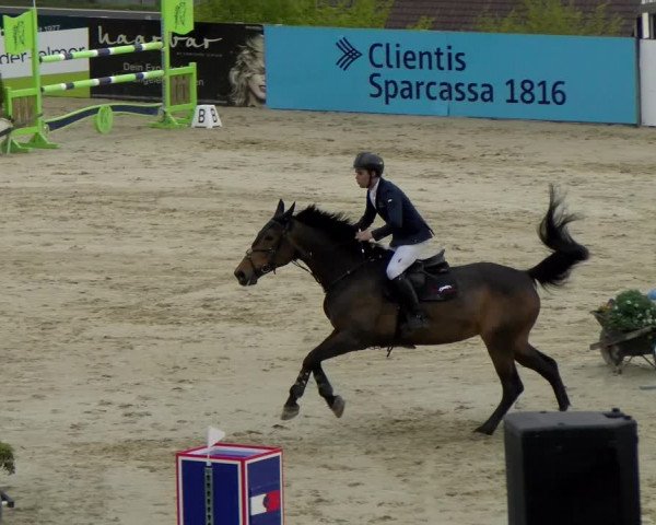 Reitturnier Wädenswil 2022