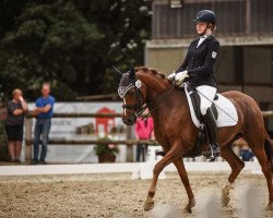 dressage horse Die feine Lady W (German Riding Pony, 2011, from Der feine Lord AT)