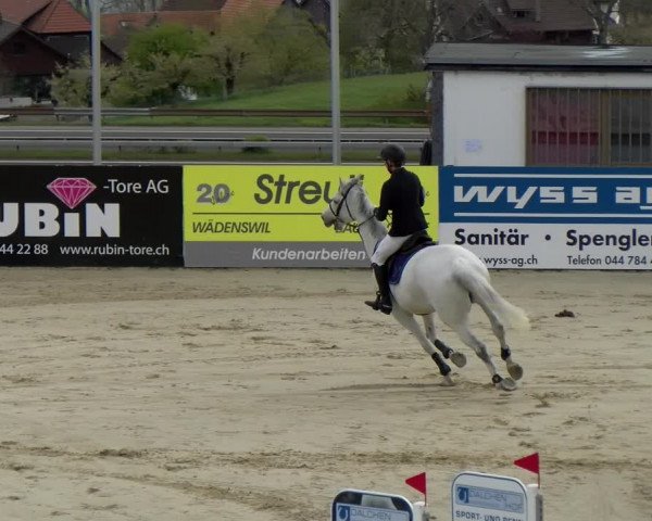 Reitturnier Wädenswil 2022