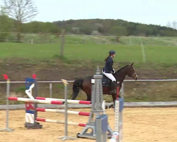 Reitturnier Altentrüdingen/Mfr. 2022