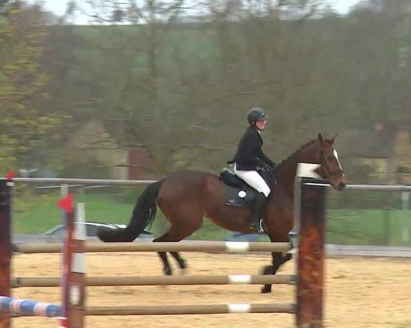 Reitturnier Altentrüdingen/Mfr. 2022