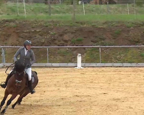 Reitturnier Altentrüdingen/Mfr. 2022