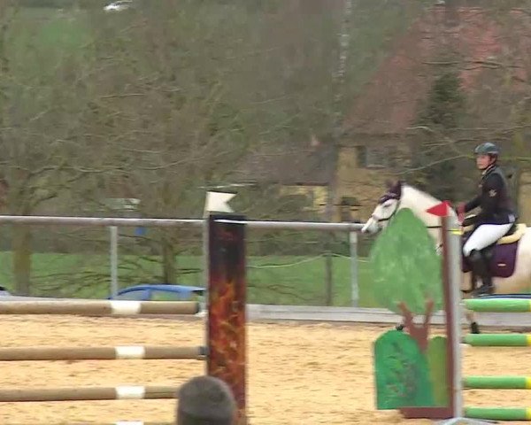Reitturnier Altentrüdingen/Mfr. 2022