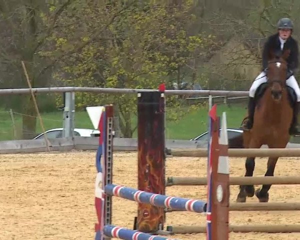 Reitturnier Altentrüdingen/Mfr. 2022