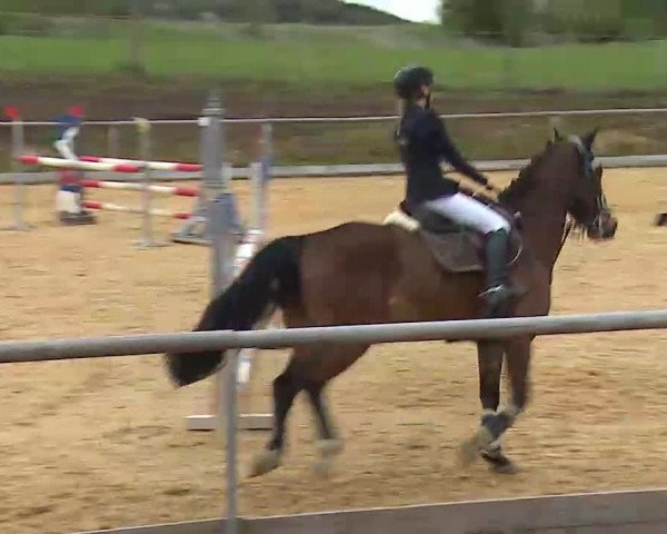 Reitturnier Altentrüdingen/Mfr. 2022