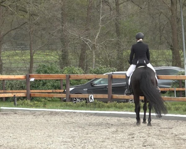 Reitturnier Schwanewede 2022