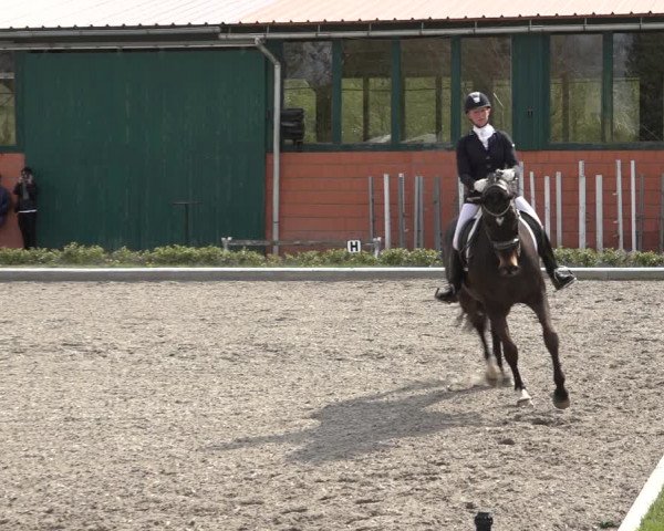 Reitturnier Schwanewede 2022