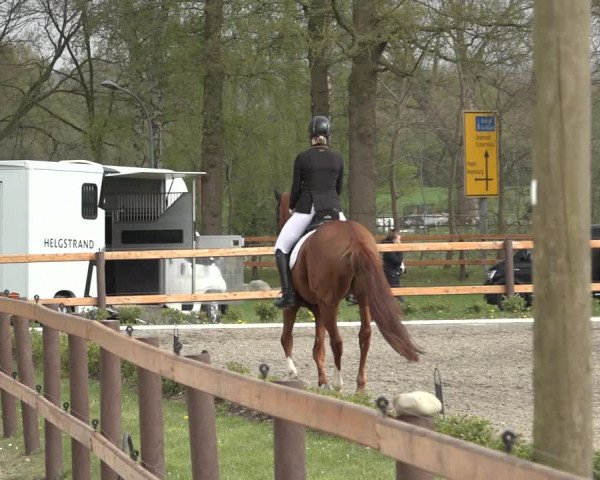 Reitturnier Schwanewede 2022