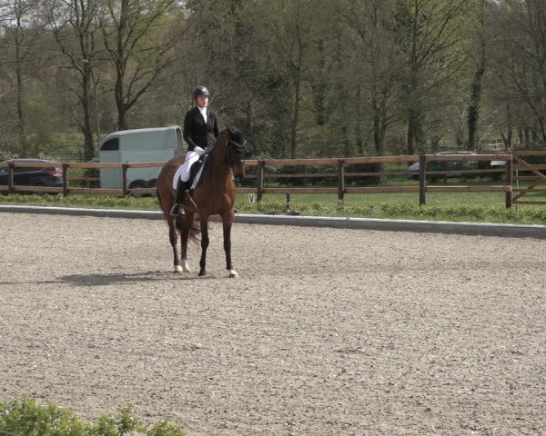 Reitturnier Schwanewede 2022