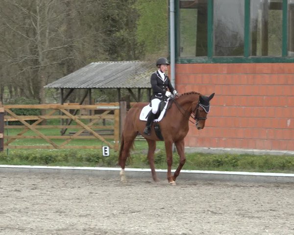 Reitturnier Schwanewede 2022