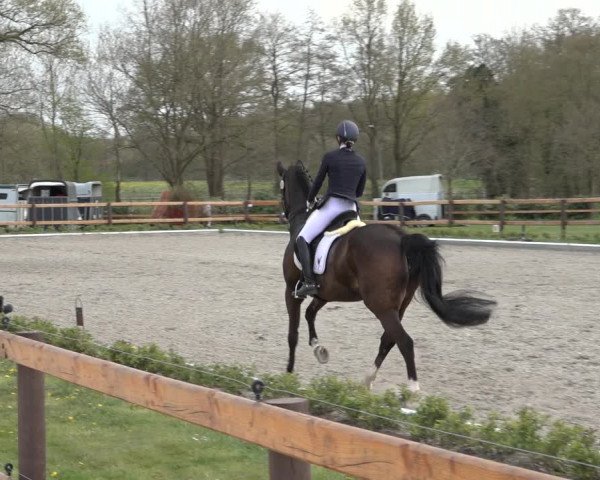 Reitturnier Schwanewede 2022