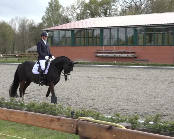 Reitturnier Schwanewede 2022