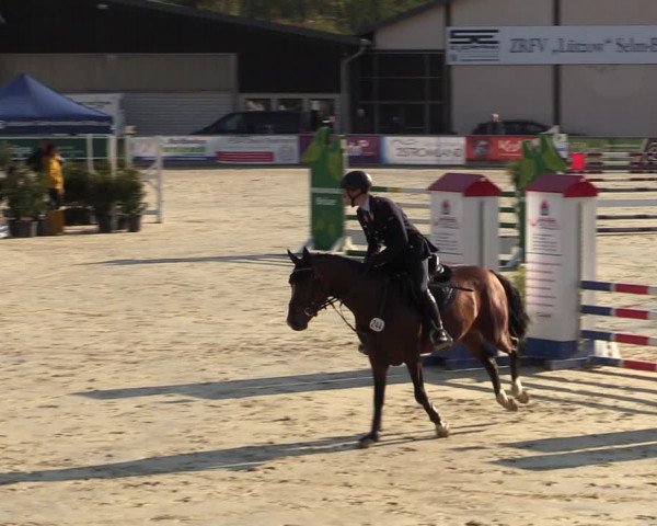 Pony- und Juniorenturnier Olfen-Vinnum 2022