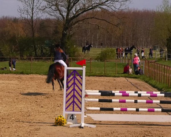 Reitturnier Wutzetz 2022