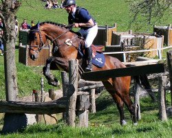 Springpferd Queen liza (Holsteiner, 2010, von Quidado)