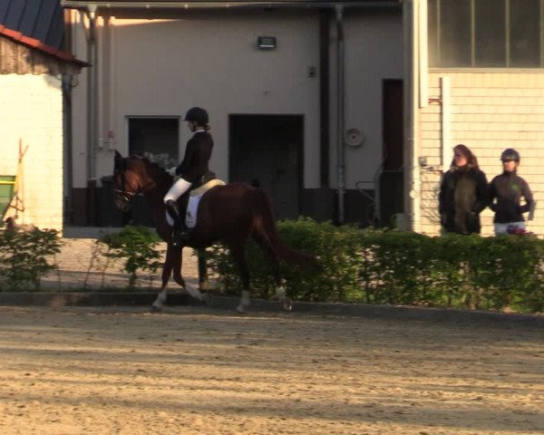 Pony- und Juniorenturnier Olfen-Vinnum 2022
