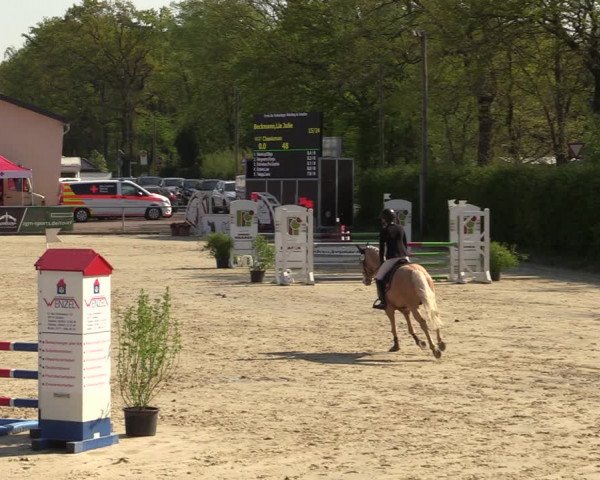 Pony- und Juniorenturnier Olfen-Vinnum 2022