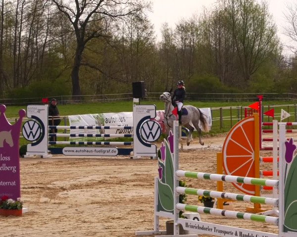 Reitturnier Wutzetz 2022