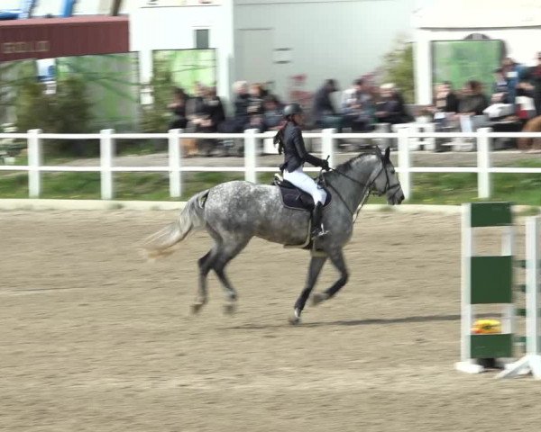 Reitturnier Ried am Riederberg 2022