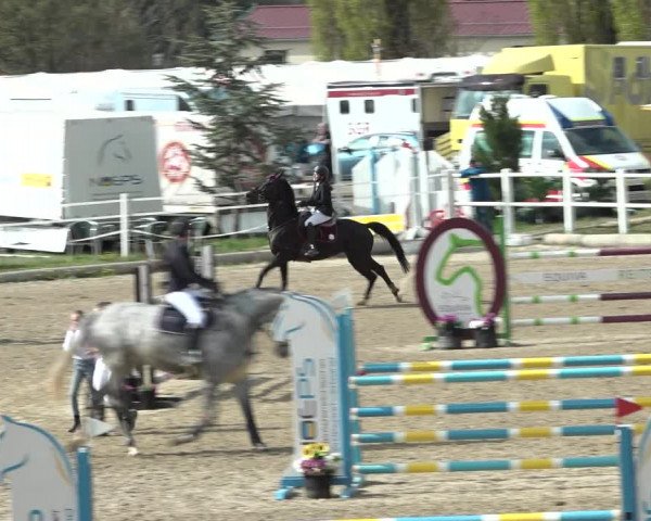 Reitturnier Ried am Riederberg 2022
