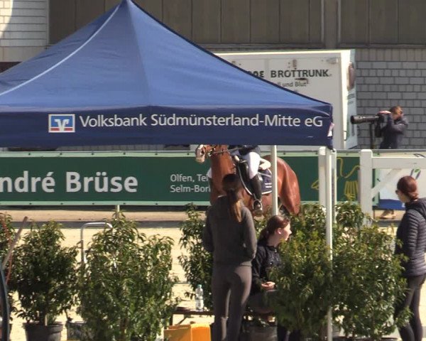 Pony- und Juniorenturnier Olfen-Vinnum 2022