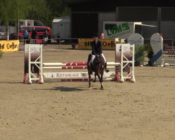 Pony- und Juniorenturnier Olfen-Vinnum 2022