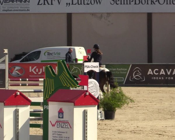 Pony- und Juniorenturnier Olfen-Vinnum 2022