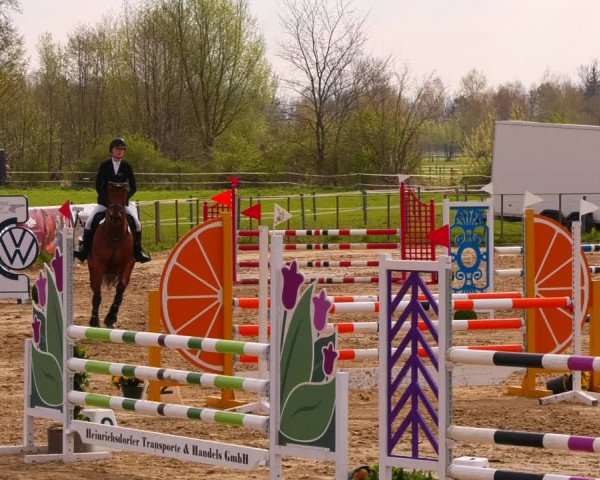 Reitturnier Wutzetz 2022