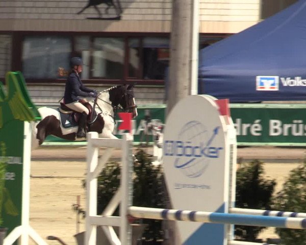Pony- und Juniorenturnier Olfen-Vinnum 2022