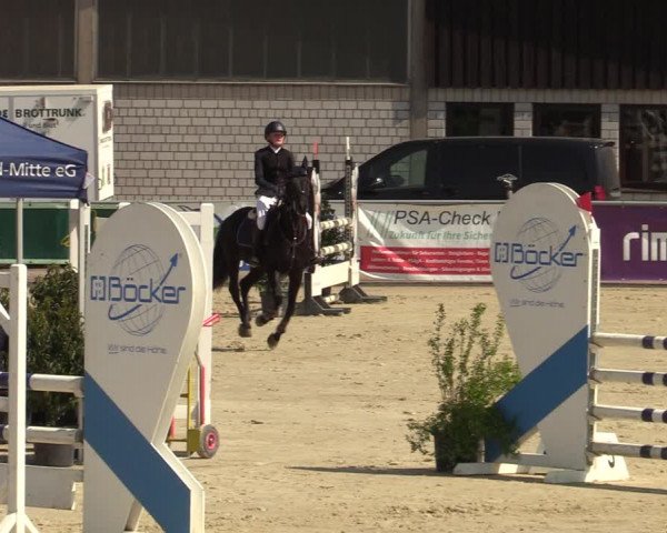 Pony- und Juniorenturnier Olfen-Vinnum 2022