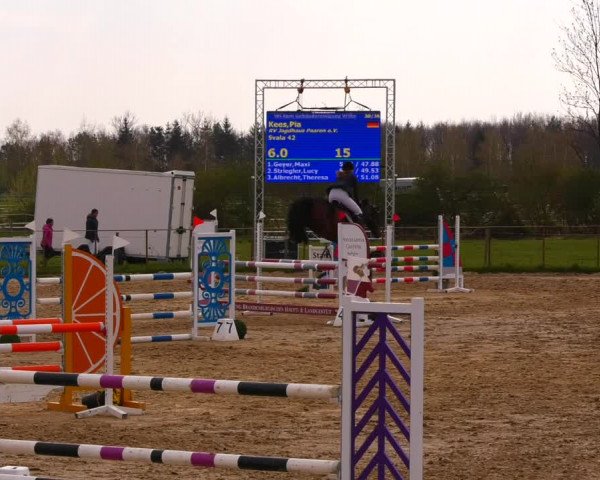 Reitturnier Wutzetz 2022