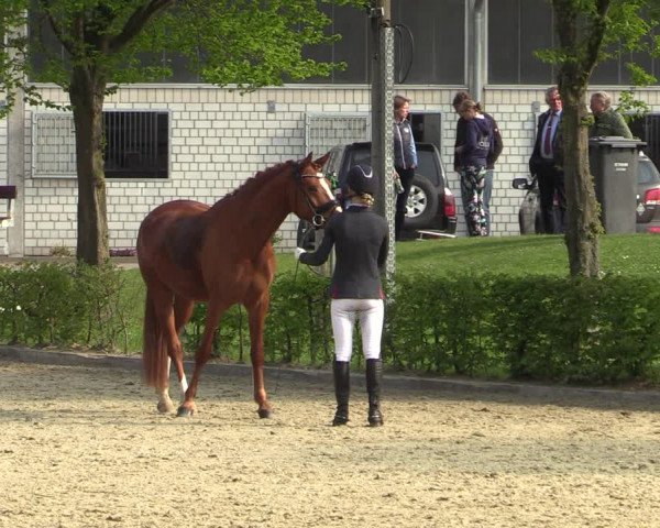 Pony- und Juniorenturnier Olfen-Vinnum 2022