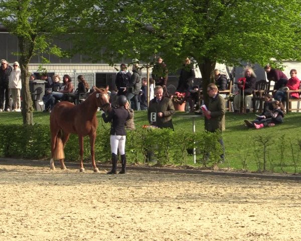 Pony- und Juniorenturnier Olfen-Vinnum 2022