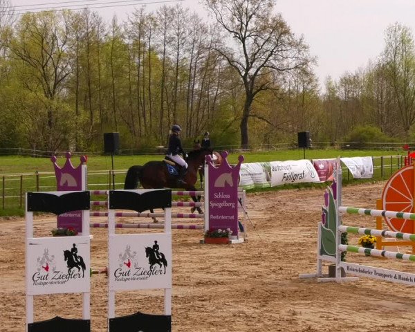 Reitturnier Wutzetz 2022